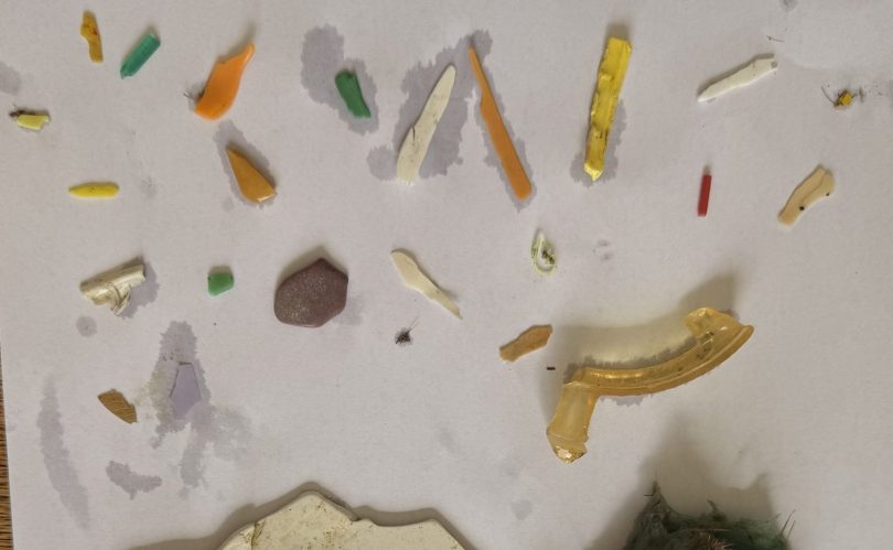 潛水撿到的塑膠垃圾